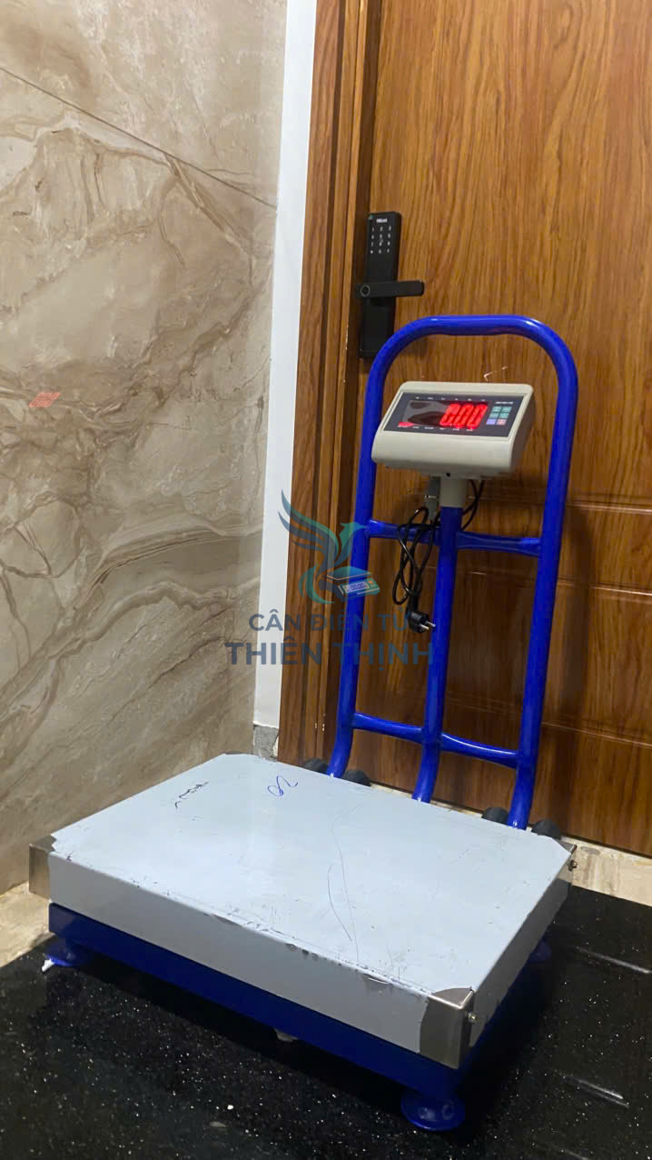 Cân bàn điện tử có bánh xe, đầu cân T7E.