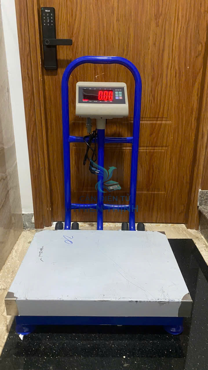 Cân bàn điện tử có bánh xe, đầu cân T7E.