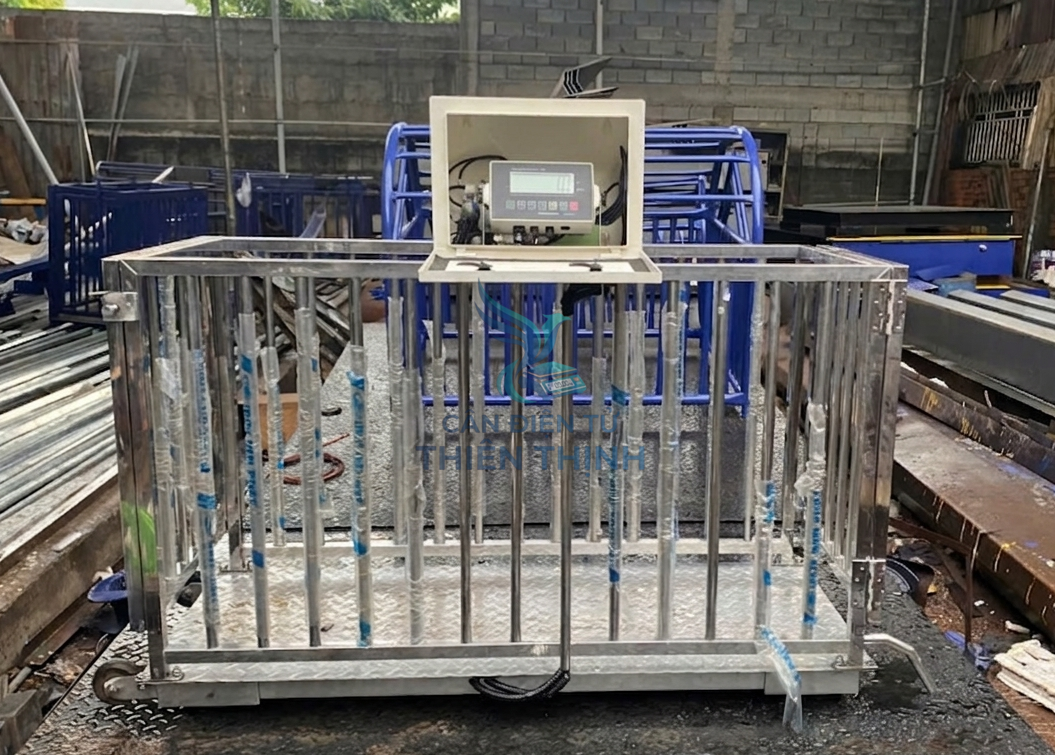 cân lồng heo điện tử Inox.