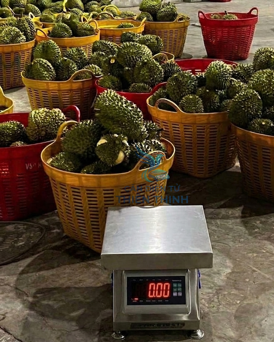 Cân điện tử cân sầu riêng.