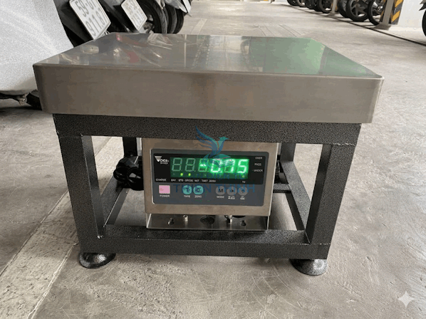 Cân điện tử nông sản DI28SS.