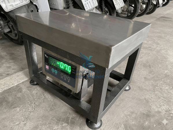 Cân điện tử nông sản DI28SS.