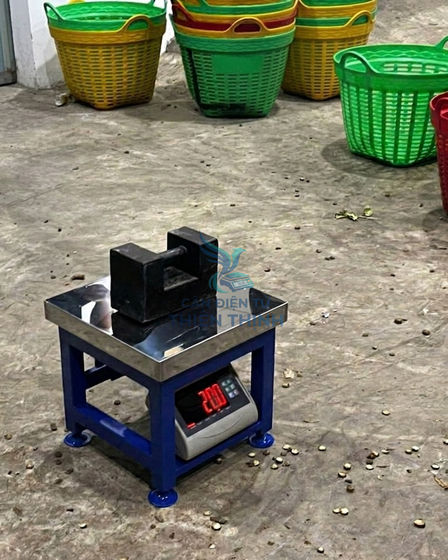 Cân sầu riêng.