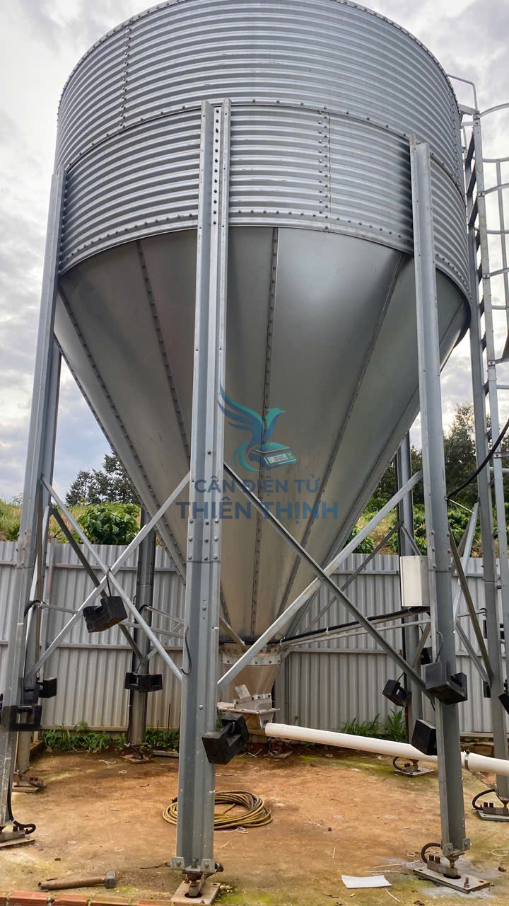 Cân điện tử Silo cám trại heo: Giải pháp tối ưu trong quản lý thức ăn chăn nuôi