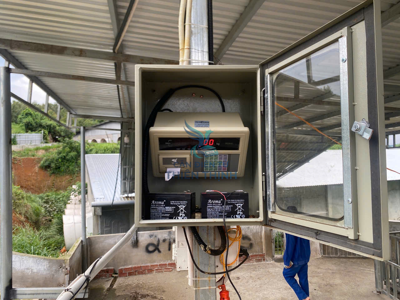 Cân điện tử Silo cám trại heo.