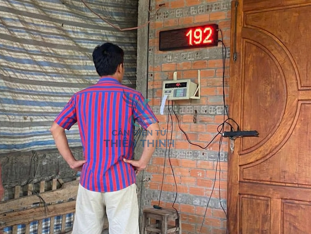 Cân điện tử si lô lúa.